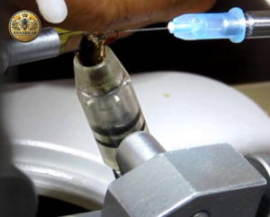 Suni tohumlama ana arı