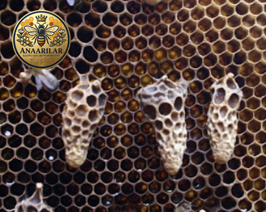 Yüksükle bölme işlemi